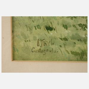 Otto Kubel, ”Castagnola”