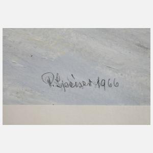 R. Speiser, Heidolph-Elektronik in Kehlheim