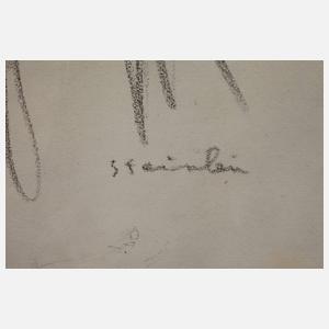 Théophile-Alexandre Steinlen, Herrenportrait