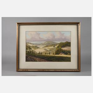 ”Mühlleithen bei Langenbach”