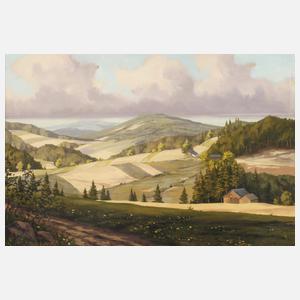 ”Mühlleithen bei Langenbach”