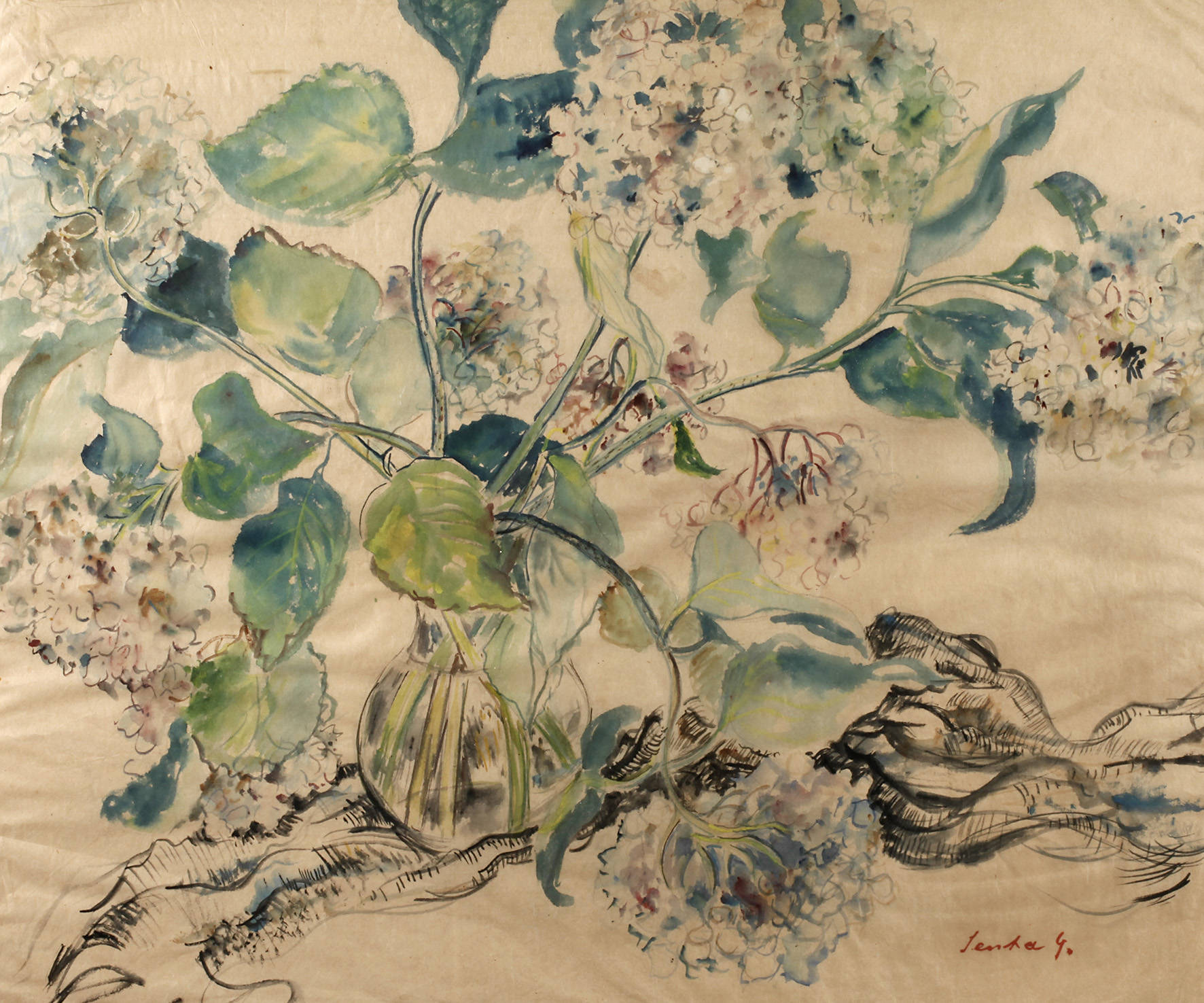 Stillleben mit Schneeballblumen