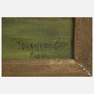 Johannes Carlé, Ansicht Schloss Burgk