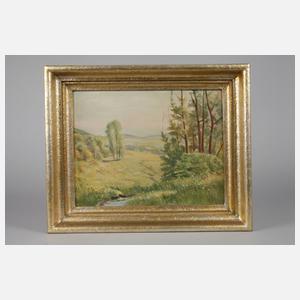 Frühling im Vogtland