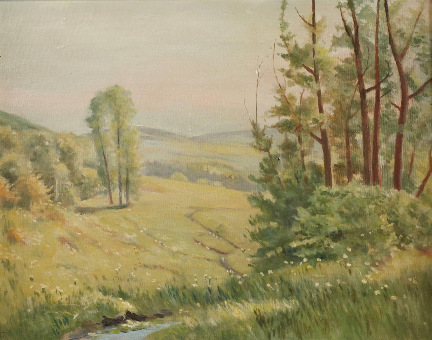 Frühling im Vogtland