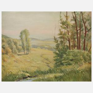 Frühling im Vogtland