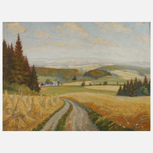 A. Grimm, Sommer im Vogtland