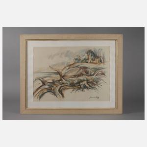 Johannes Hess, Darßlandschaft