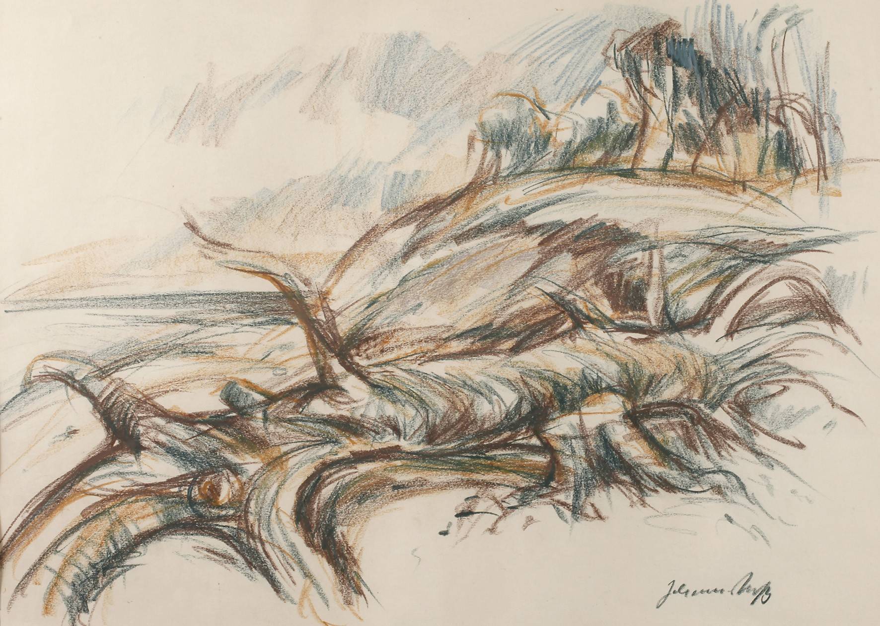 Johannes Hess, Darßlandschaft