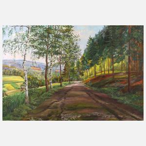 Traudel Meischke, Sommerliche Vogtlandlandschaft