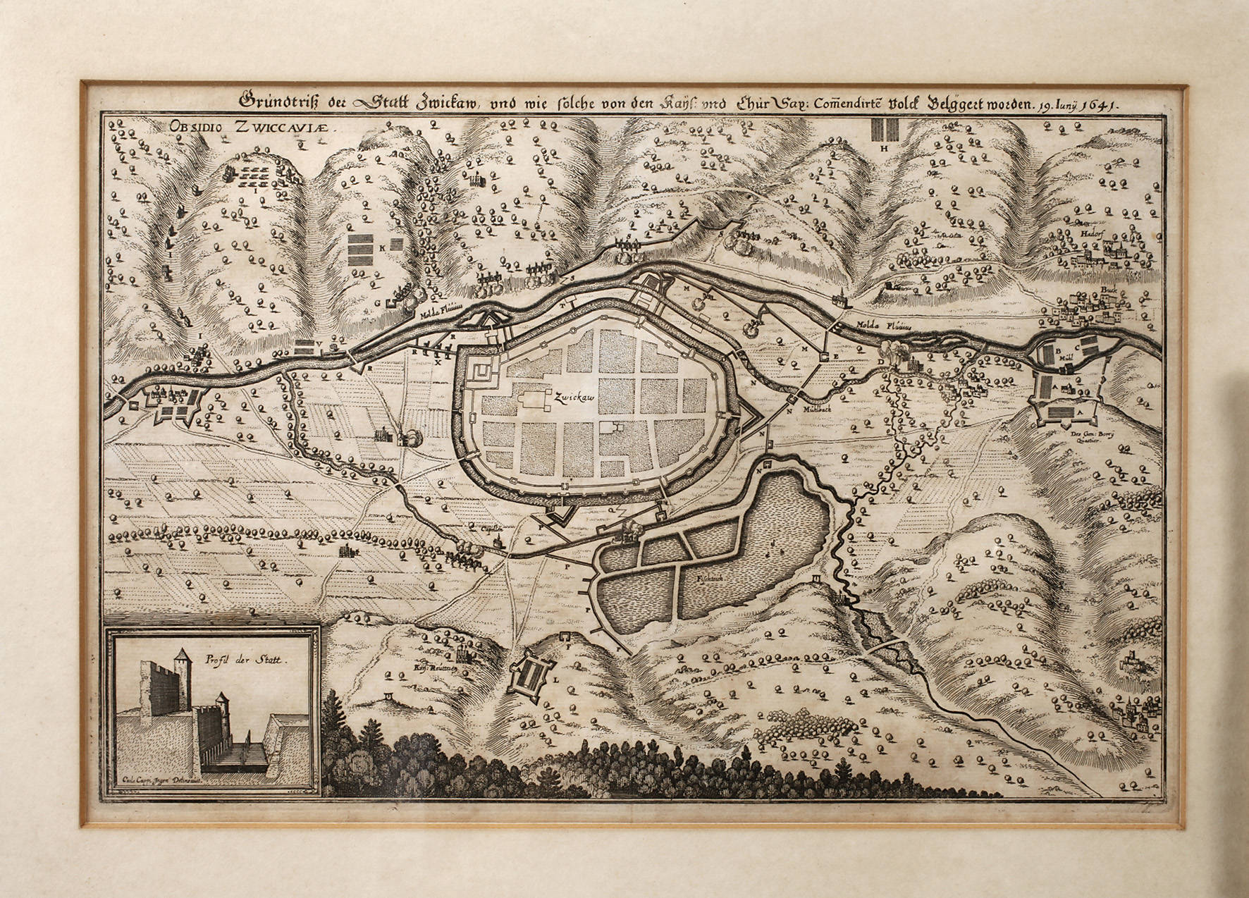 Matthäus Merian, Plan der Stadt Zwickau