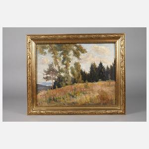 Hans Sachs, Sommer im Vogtland