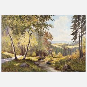 Friedrich Schick, Vogtländische Sommerlandschaft