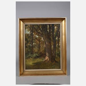 Prof. Ferdinand Schauss, Linden