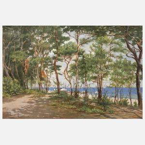 Prof. Ferdinand Schauss, Strand bei Zinnowitz