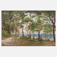 Prof. Ferdinand Schauss, Strand bei Zinnowitz111