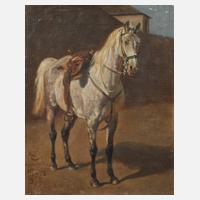 Gesattelter Schimmel111