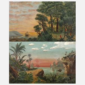 Paar tropische Landschaften