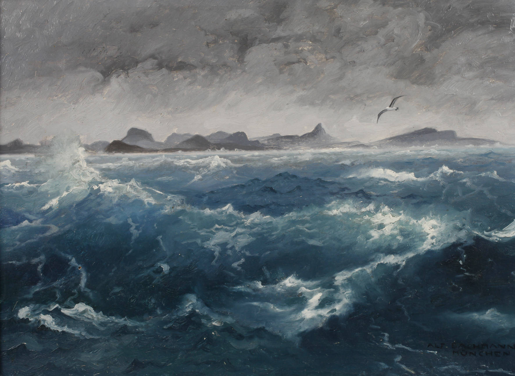 Alf Bachmann, ”Die Falklandinseln”