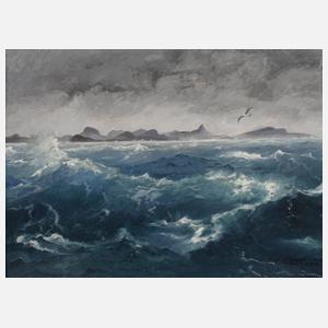 Alf Bachmann, ”Die Falklandinseln”