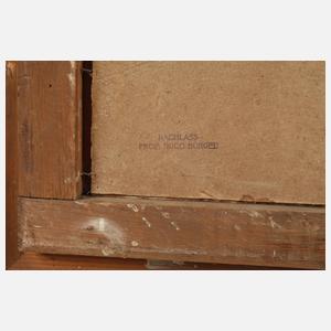 Prof. Hugo Bürgel, Dorf am Gebirgssee