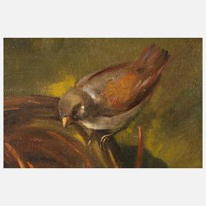 Prof. Wilhelm Krausz, attr., Kirschenstillleben mit Spatz