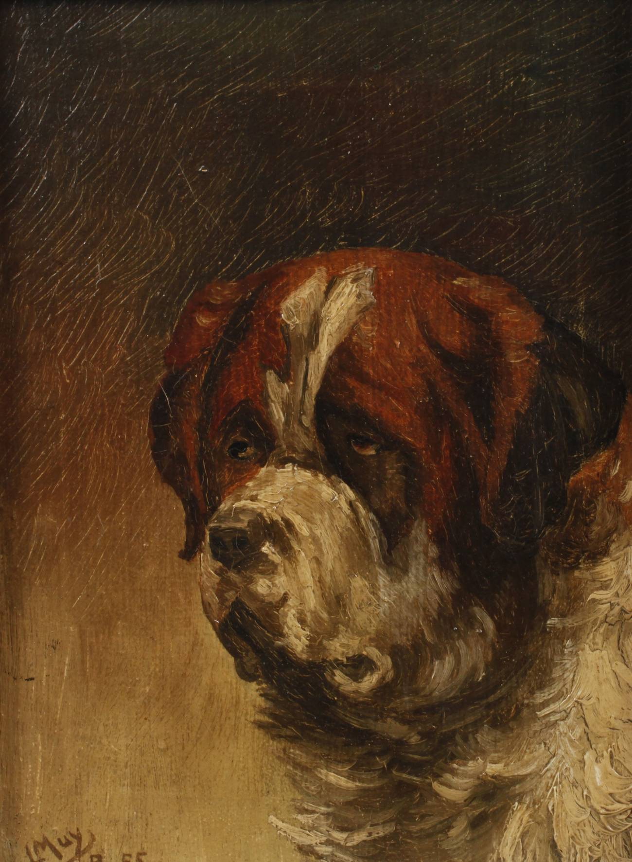L. Muy, Bernhardinerhund