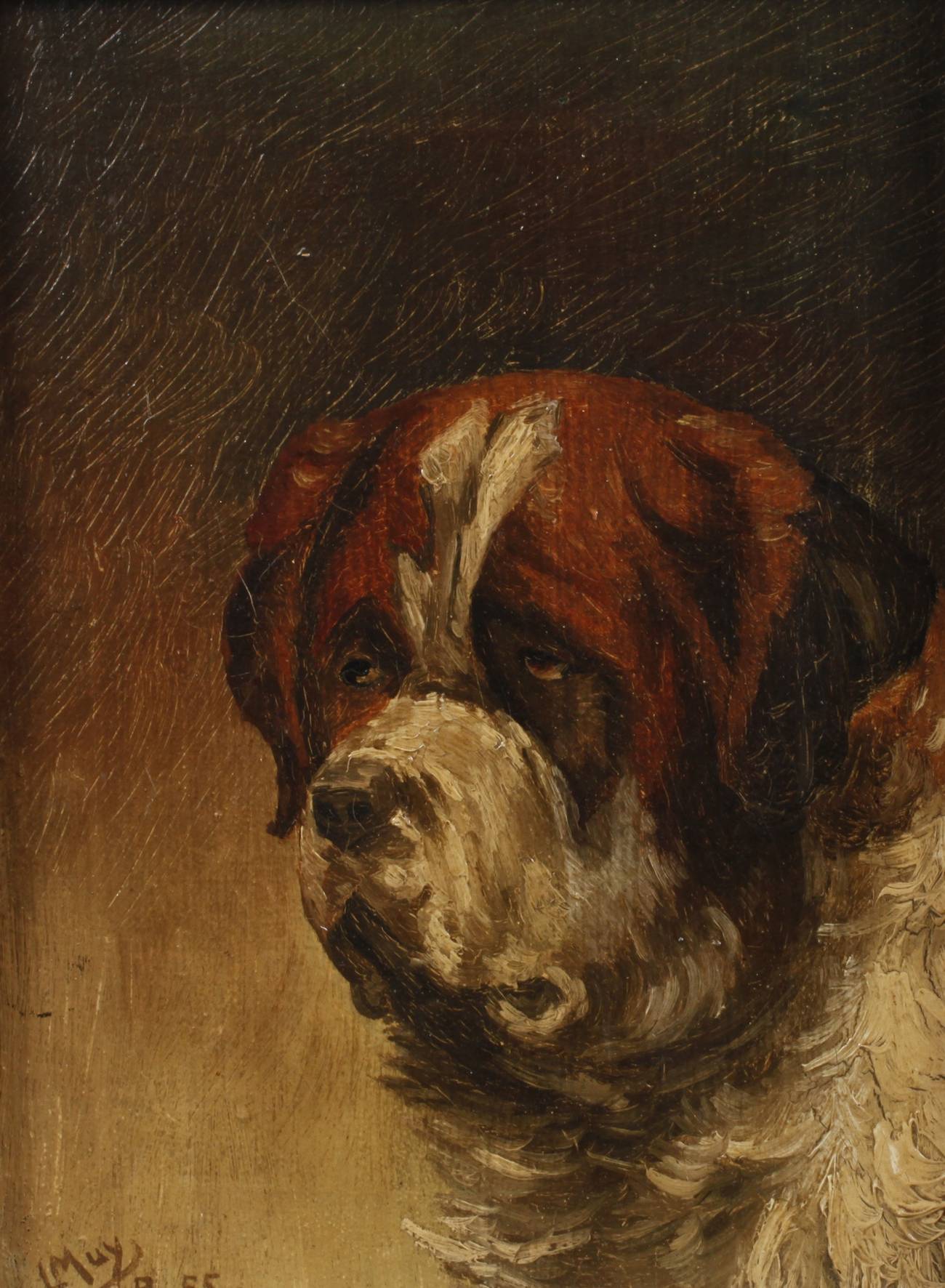 L. Muy, Bernhardinerhund