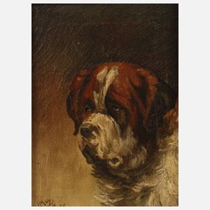 L. Muy, Bernhardinerhund