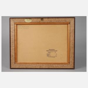 Fritz Neuenhahn, Rastende Amazone