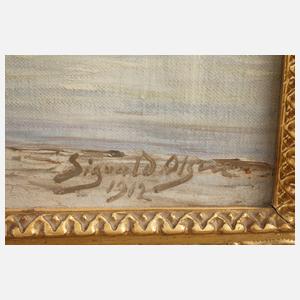 Sigvald Olsen, Sognefjörd Norwegen