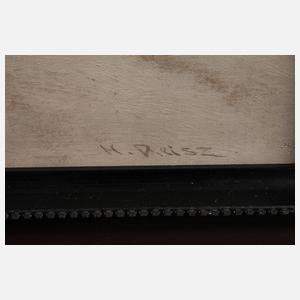 Hermann Reisz, Schlittenfahrt