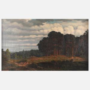 A. Scheffer, Weiher am Kiefernwald