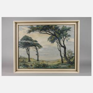 Theodor Schultze-Jasmer, Windflücher an der Ostseeküste