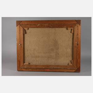 Theodor Schultze-Jasmer, Windflücher an der Ostseeküste