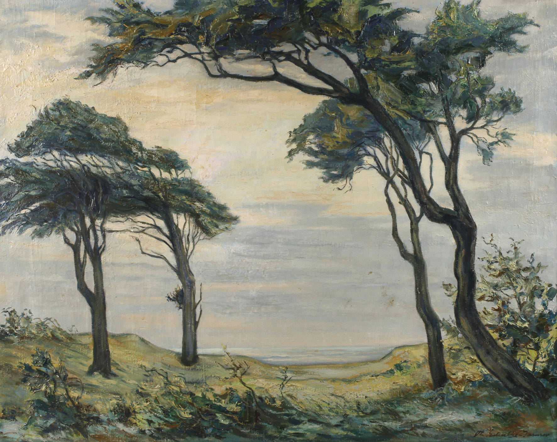 Theodor Schultze-Jasmer, Windflücher an der Ostseeküste