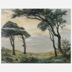 Theodor Schultze-Jasmer, Windflücher an der Ostseeküste