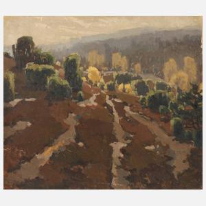 H. von Sternburg, Herbstliche Heidelandschaft