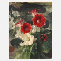 Erich Wünsche, Glocksinien111