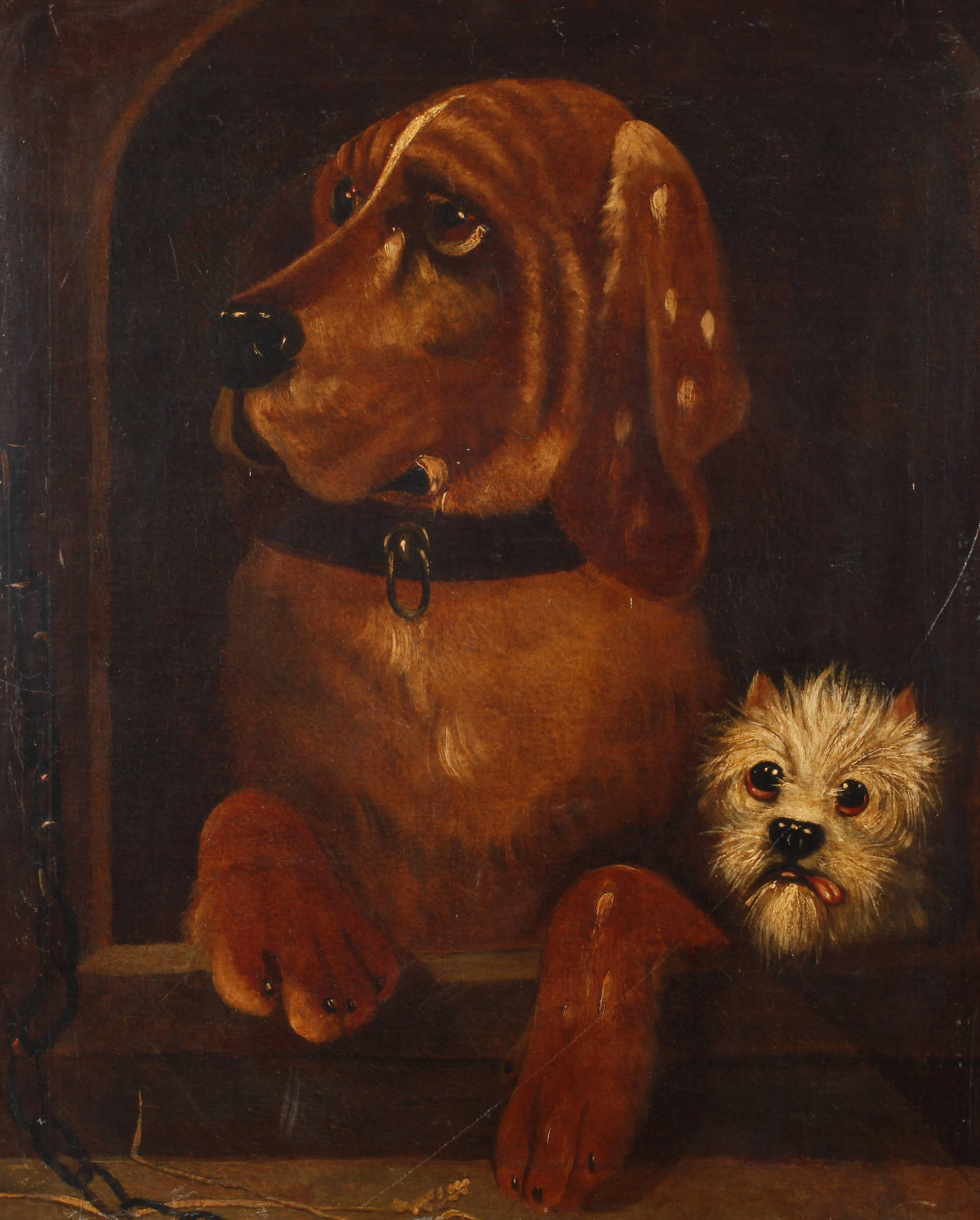 Das ungleiche Hundepaar