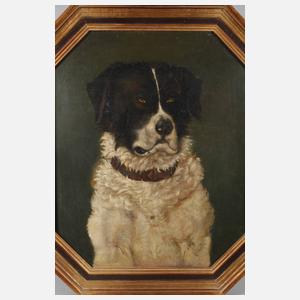 Hundeportrait