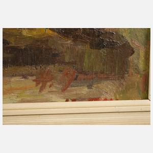 Tümpel in Sommerlandschaft