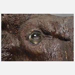 Monumentale Jagdtrophäe