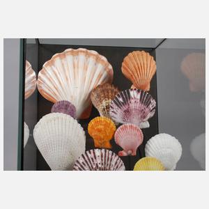 Maritimer Schaukasten