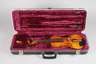 Violine im Etui