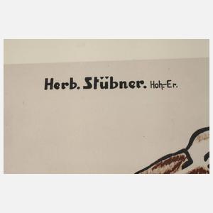 Werbeplakat Bergfest Hohenstein-Ernstthal