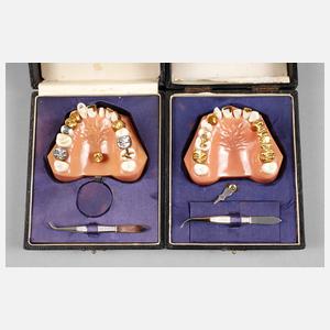 Zwei Dentalmodelle