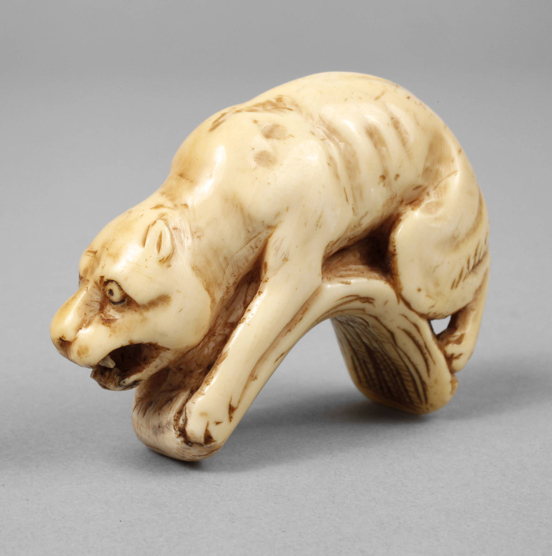Netsuke Panther