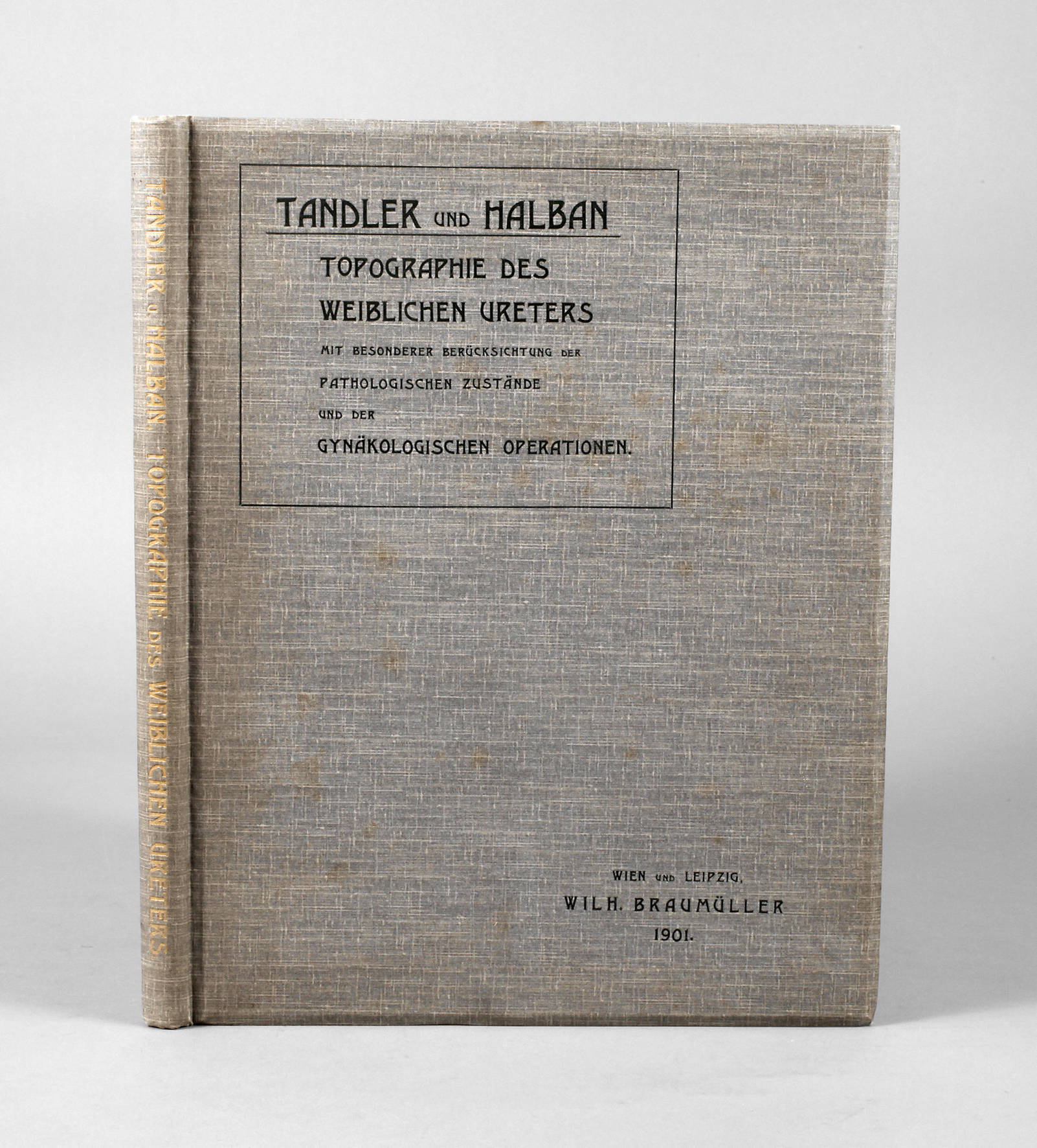 Topographie des weiblichen Uretes