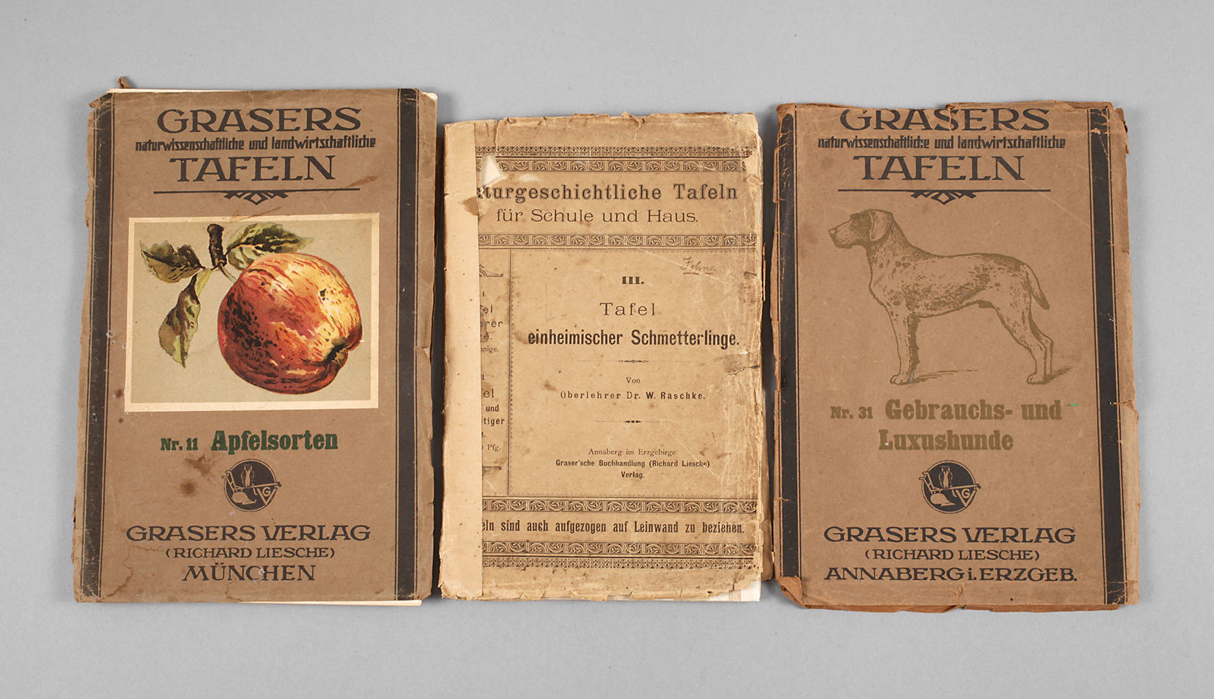 Konvolut Grasers Tafeln